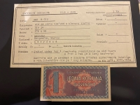 Viete, za koľko sa vydražila slovenská bankovka z roku 1945?