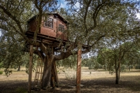 Tajomstvá stavby domčeku na strome: Prekvap svoje deti