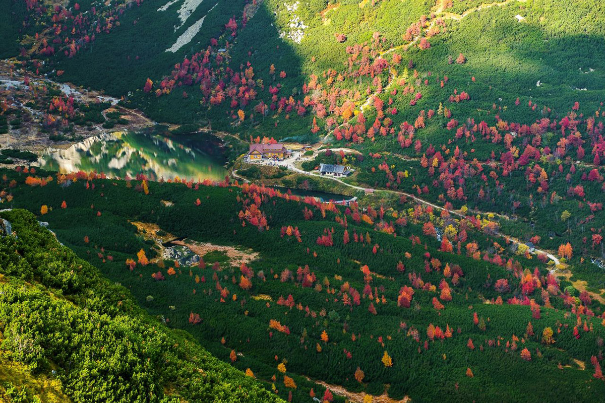 5_grand_prix_dobrovsky