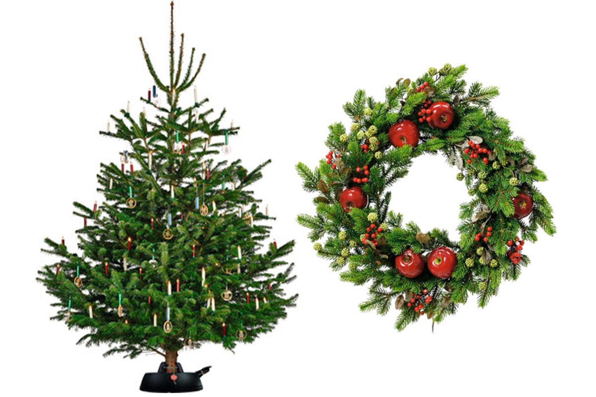 hornbach_xmas_tree_1225