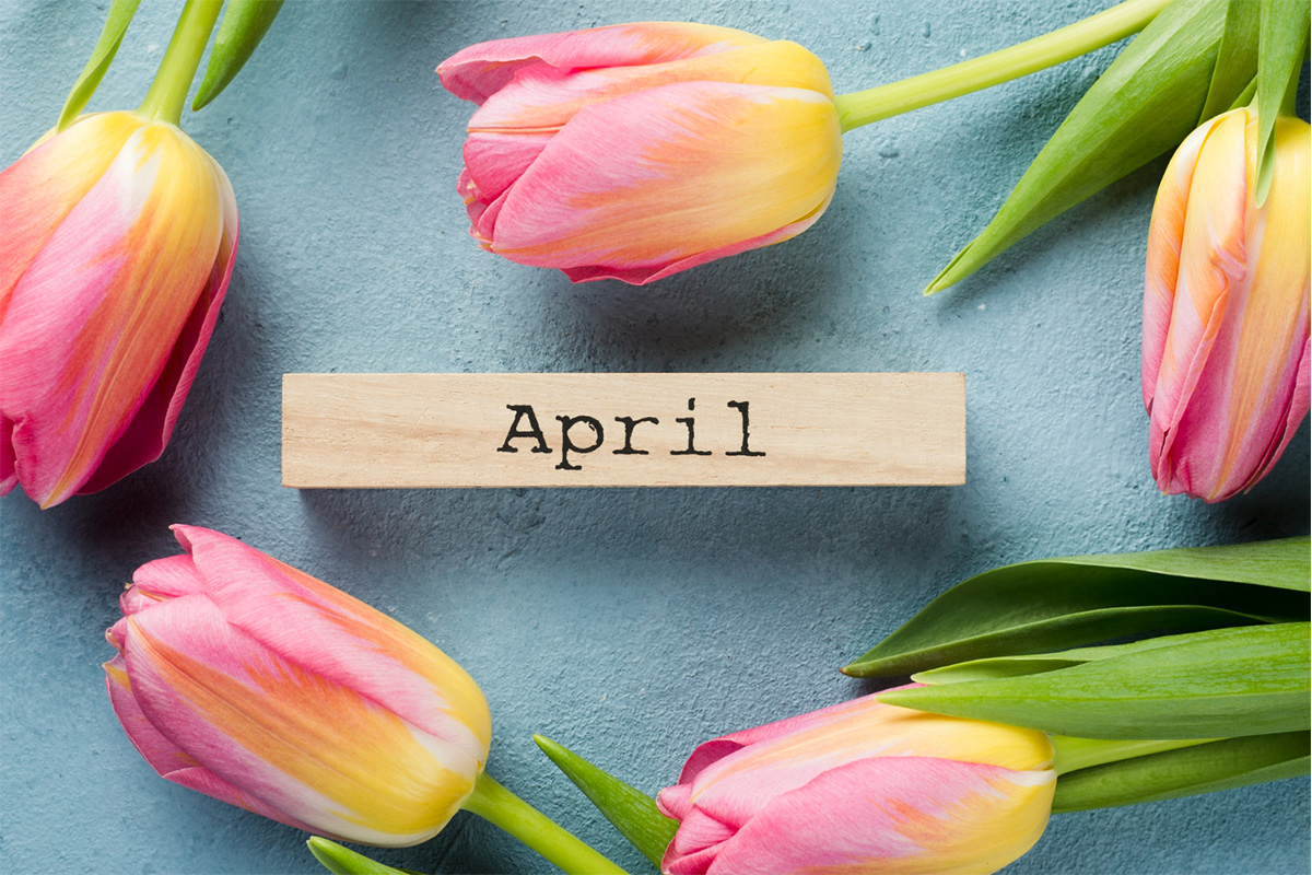 freepik_april_tulips