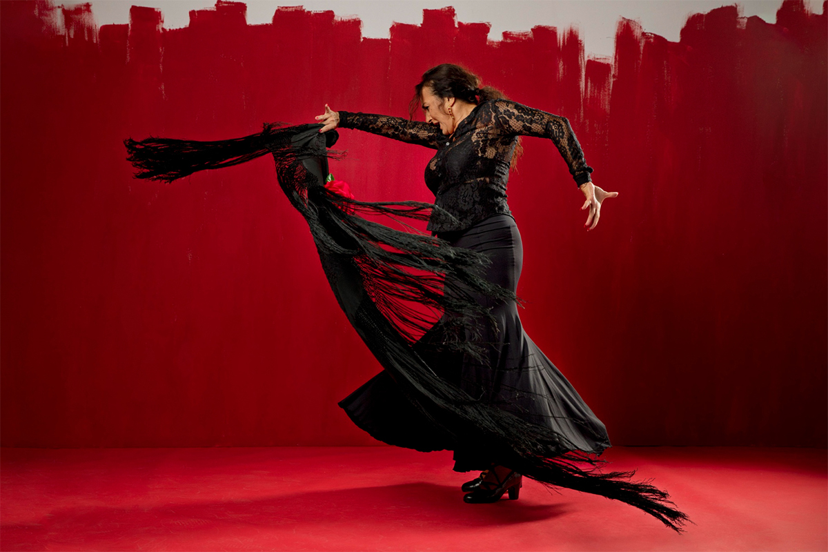 freepik_flamenco_1