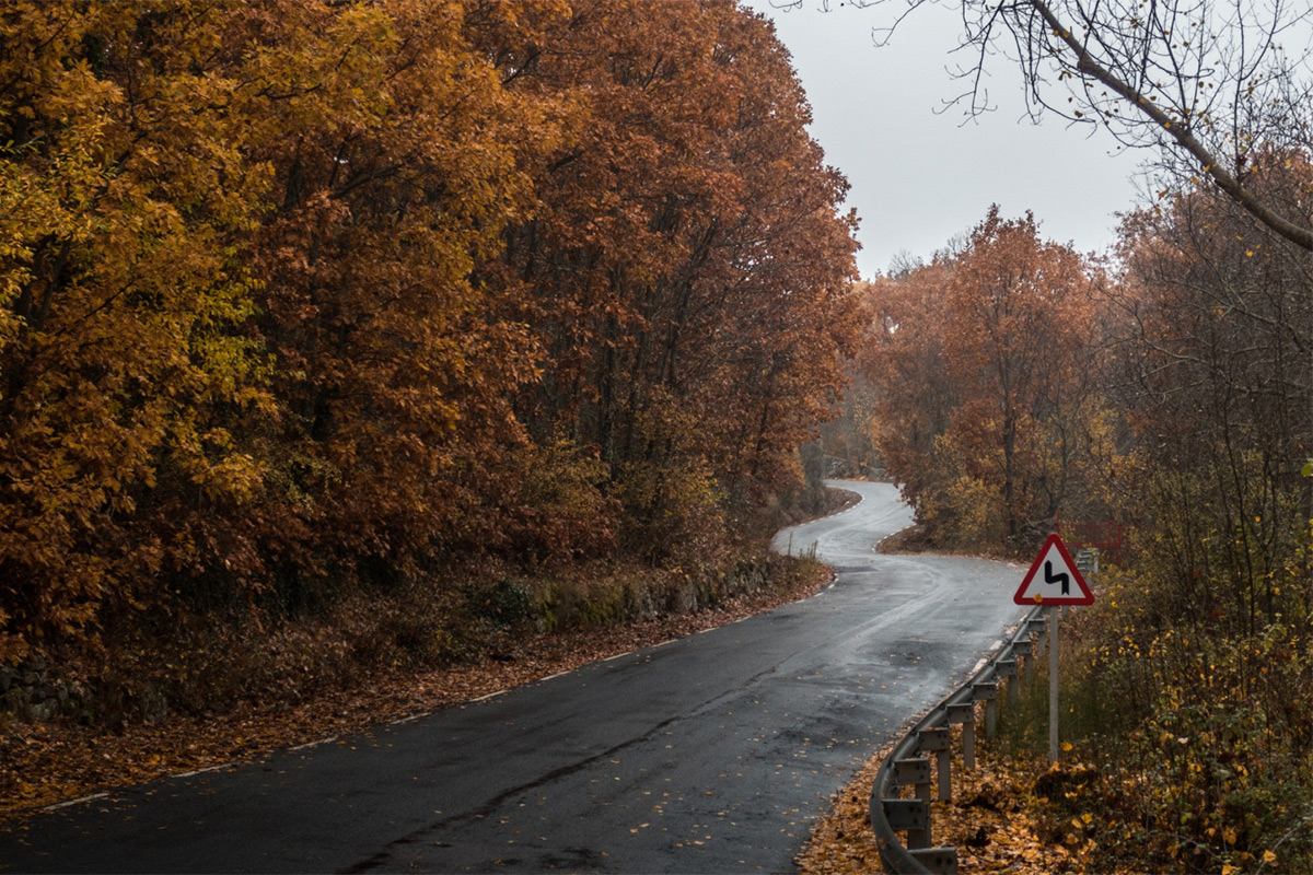 freepik_wet_road_autumn23