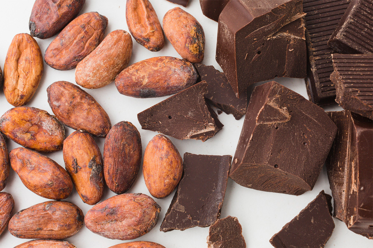 magnific_chocolate_cocoa_beans_226