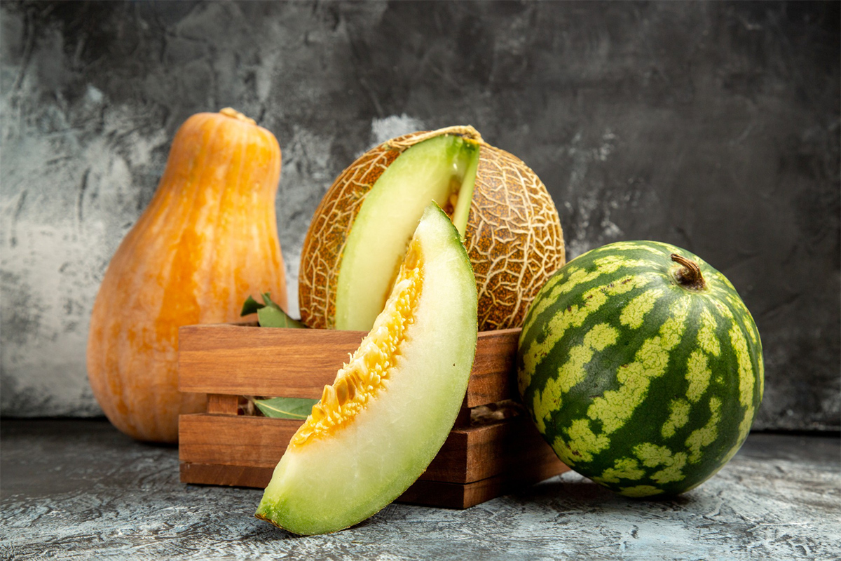 magnific_melon_26