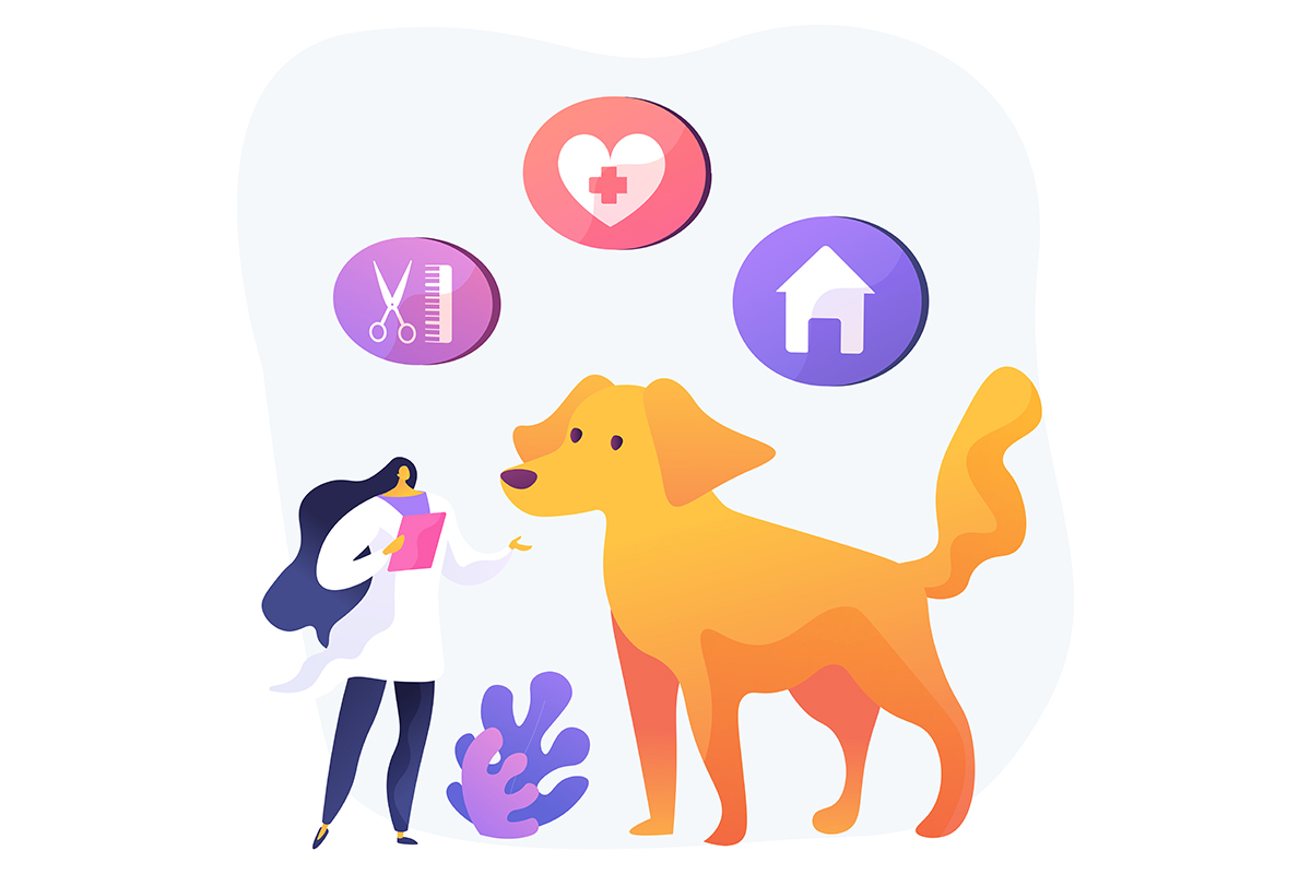 magnific_pet_insurance