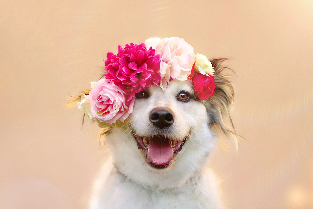 1_superzoo_26825