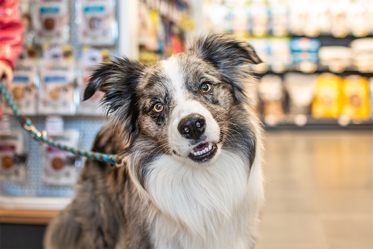 1_superzoo_825