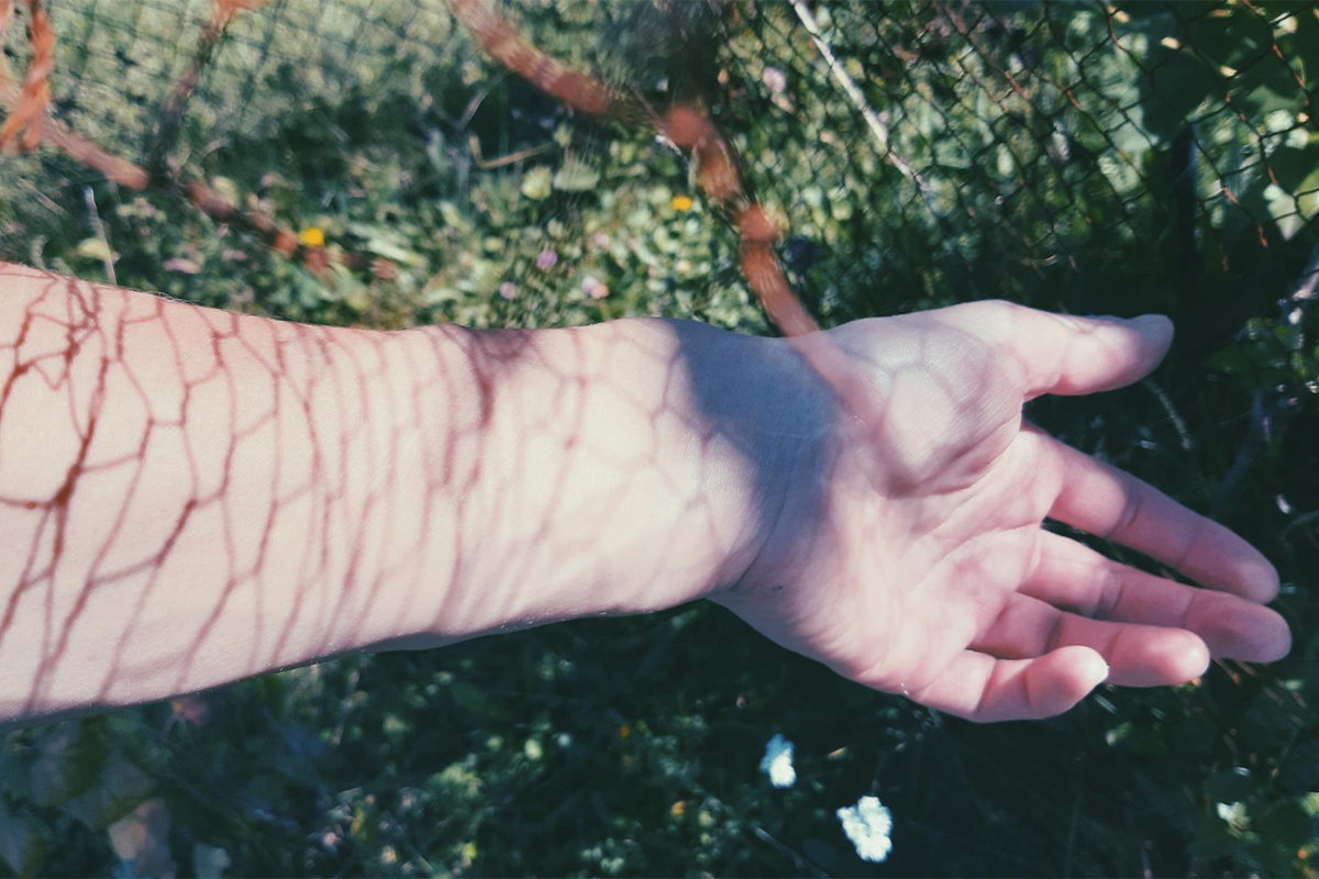2_211026_adobestock