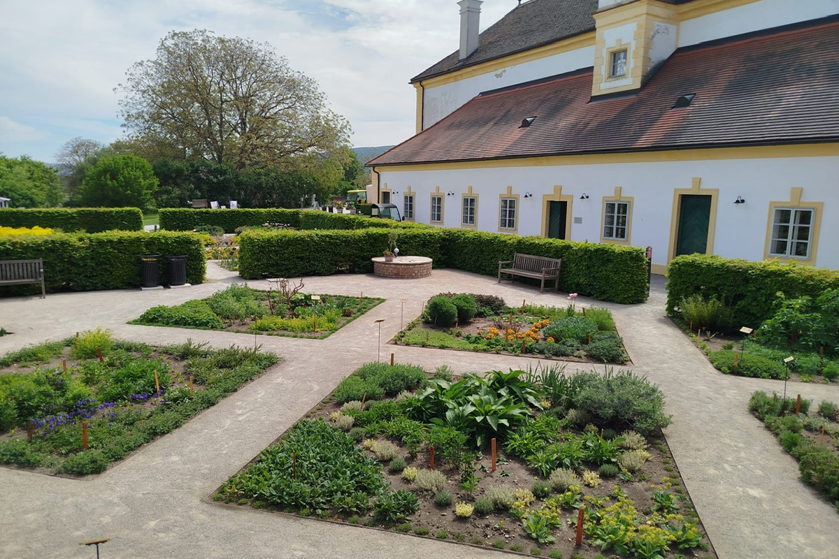 2_schloss_hof_526