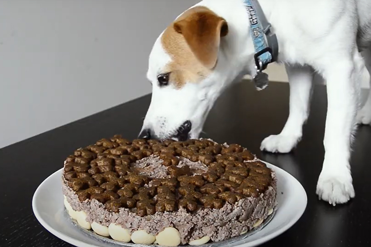 3_superzoo_26825