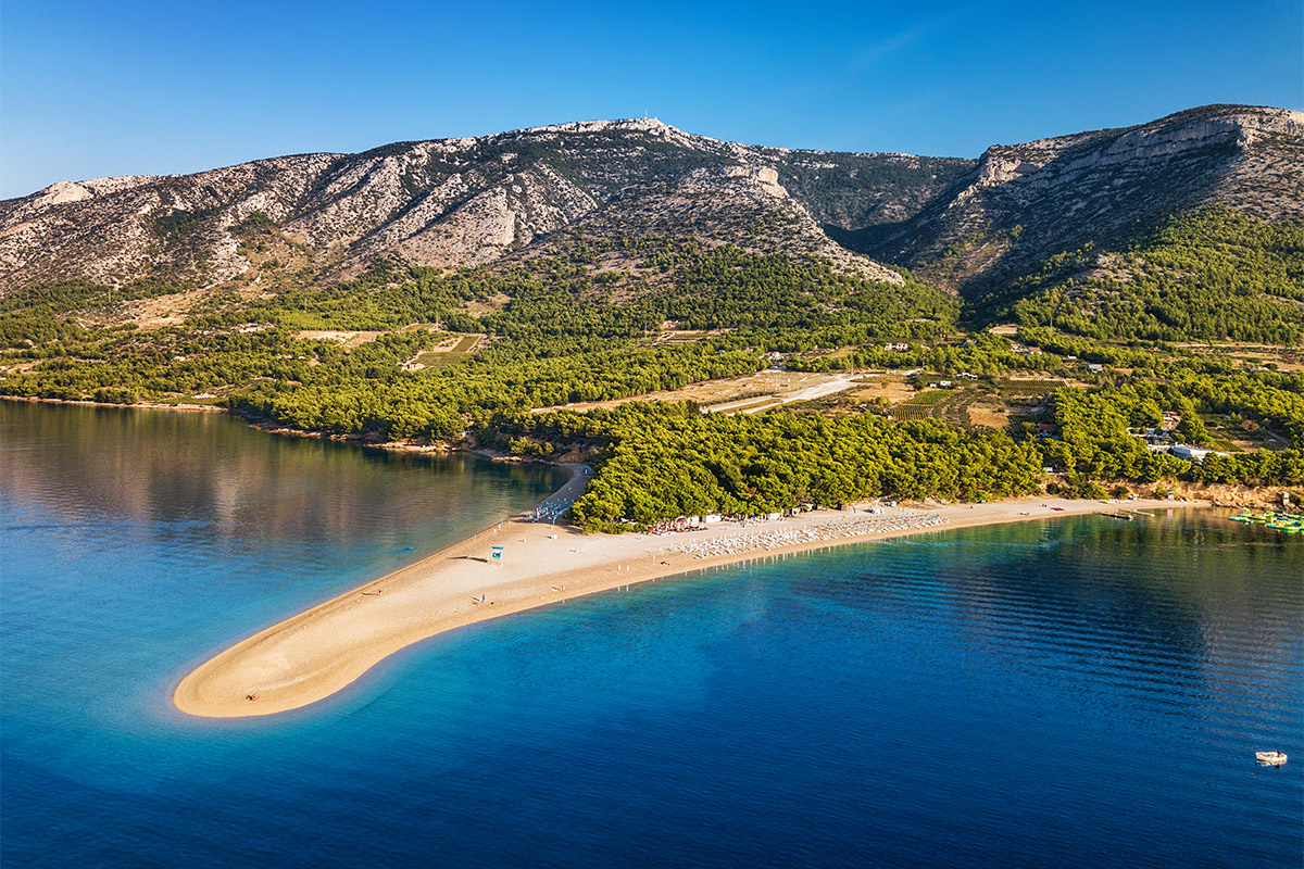 brac_dog_beach