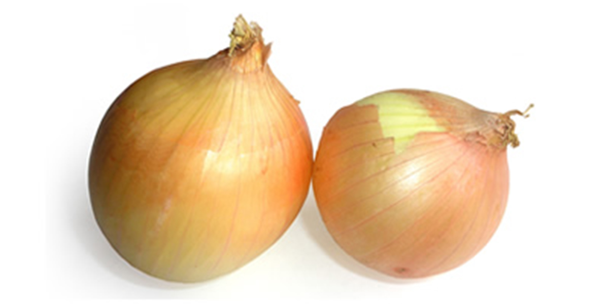 onions_1_24