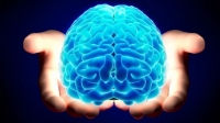 4 mýty o ľudskom mozgu