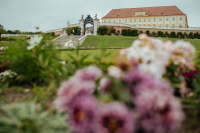 Deň plný hier a Slávnosť koní na Zámku Schloss Hof