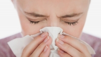 Máte peľovú alergiu? Vieme čo vám pomôže ju zvládnuť