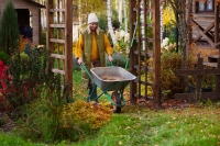 Jesenné lístie pod kontrolou