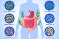 Probiotiká nie sú univerzálne. O účinku rozhodujú konkrétne kmene