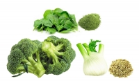 Na jar stavme na zelenú: brokolica, špenát a fenikel
